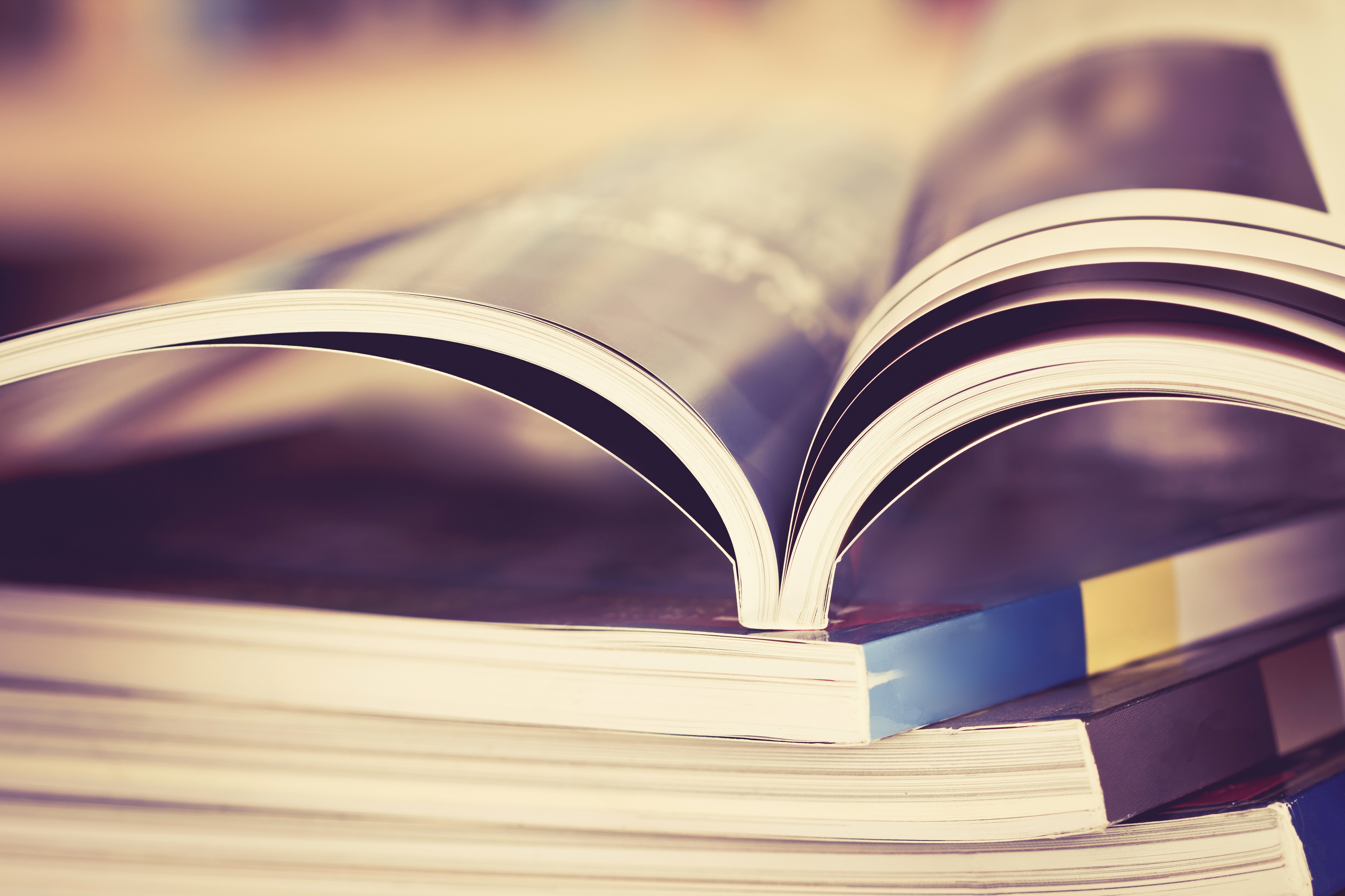 12 Sayfa Katalog Fiyatı