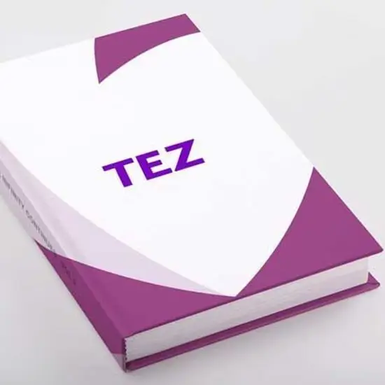Tez Ciltleme Fiyat 2026